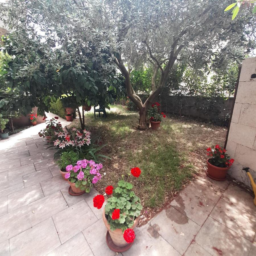 Apartments Filipovic Biograd Na Moru Buitenkant foto