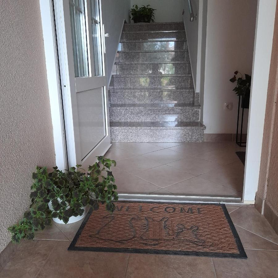 Apartments Filipovic Biograd Na Moru Buitenkant foto
